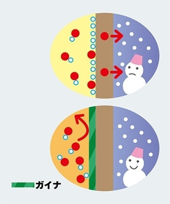 結露も防ぐガイナ
